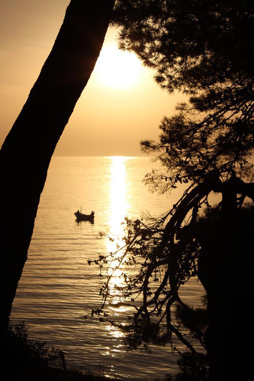 Apartma Mateljak Gradac (Split-Dalmatia)